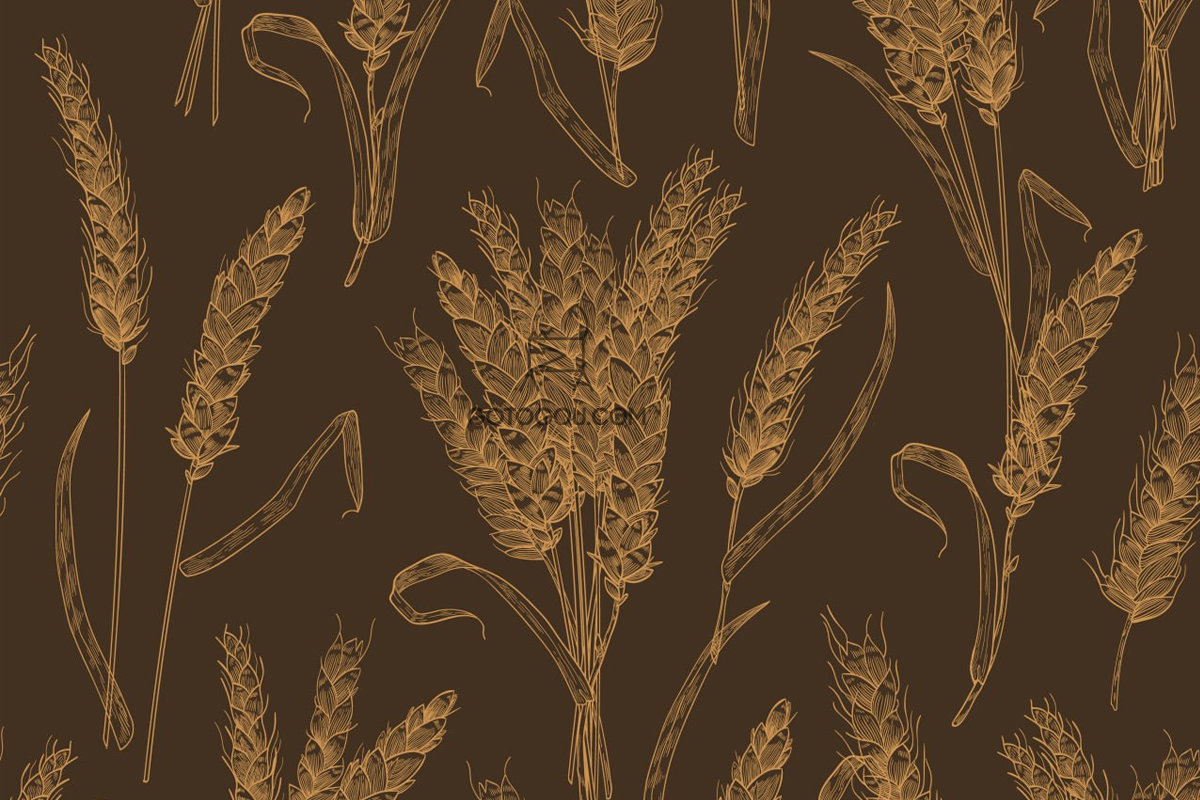矢量麦子插画/麦子背景